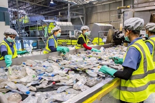 Xuất Khẩu Lao Động Nhật Bản – Công Việc Liên Quan Đến Kiểm Tra, Phân Loại Tại Chiba, Nhật Bản